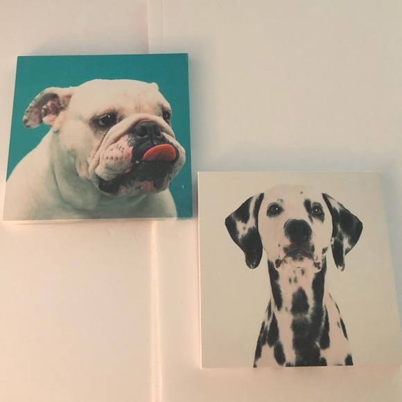12” x 12” Dog Canvas Art Print Lot of 2 - Picture 10 of 10
